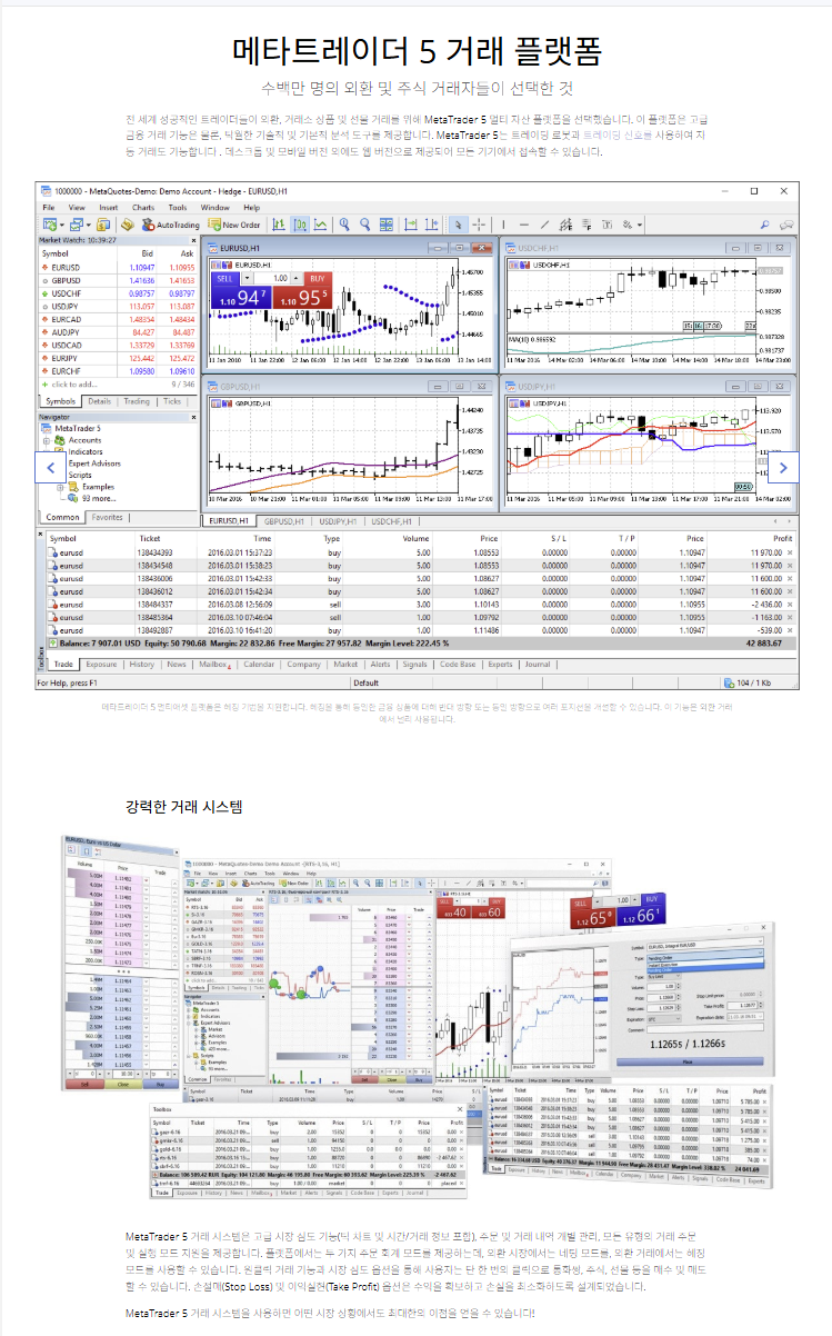 MetaTrader 5 거래 화면